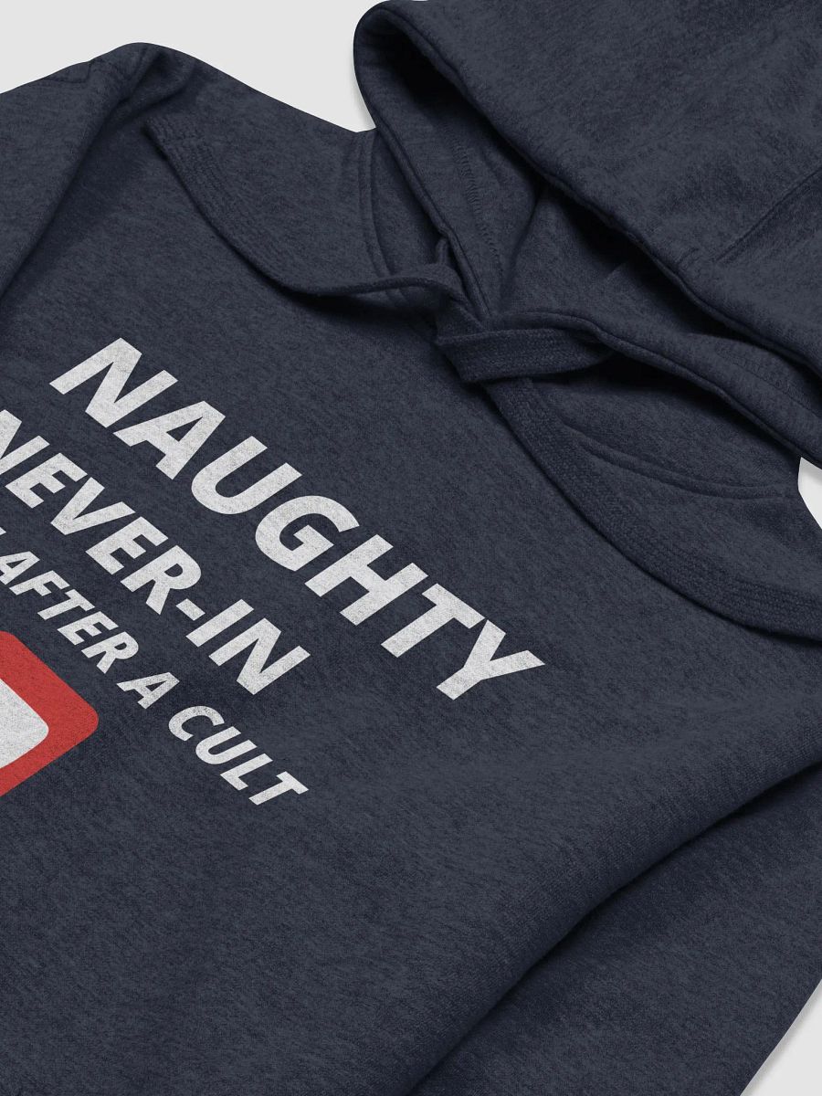 Naughty Never-In Hoodie - Black product image (3)