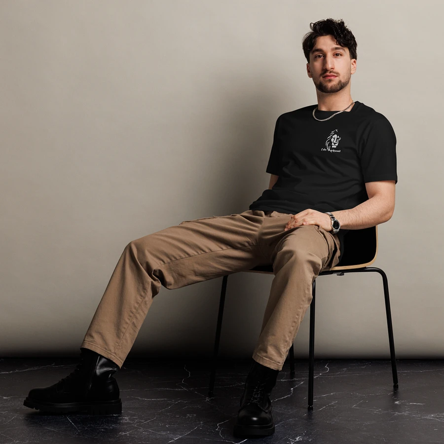 Colin Blackwood Unisex Premium T-Shirt product image (6)