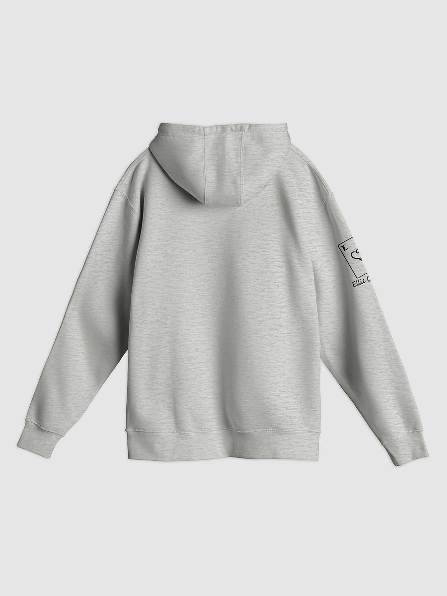 sorry dont speak stupid hoodie product image (10)