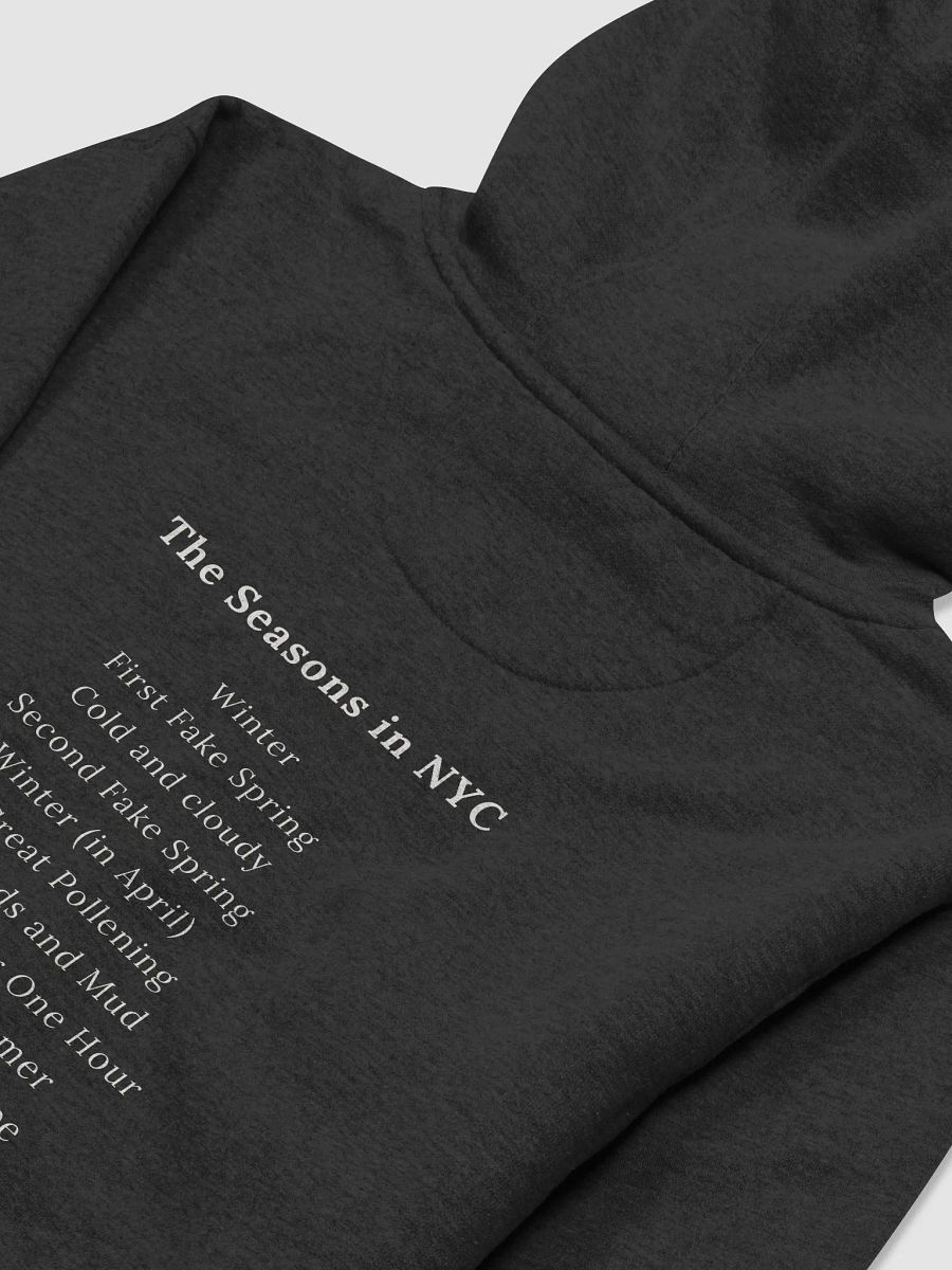 NYMW Black Seasons Hoodie product image (4)