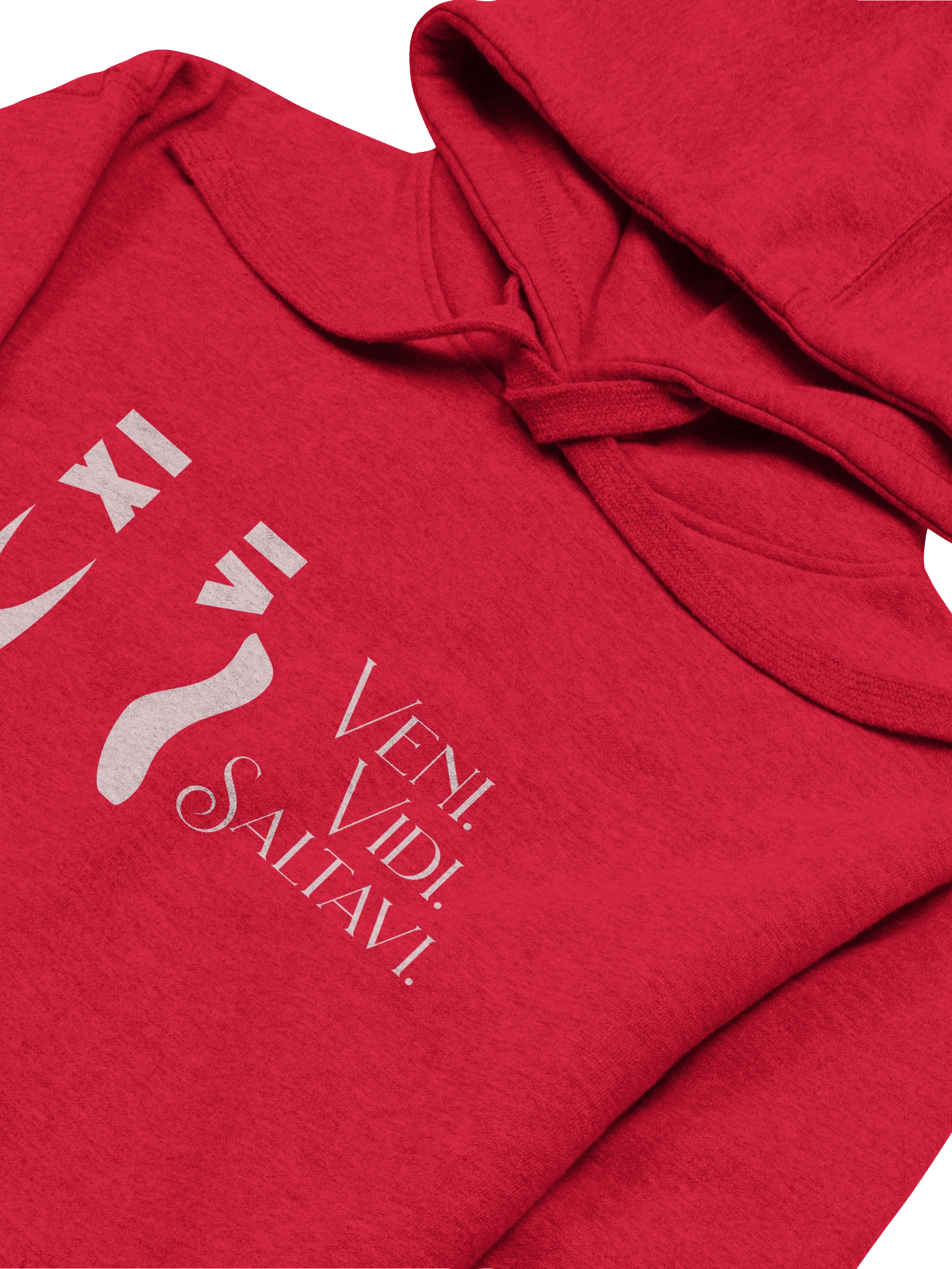Veni. Vidi. Saltavi. • Premium Hoodie product image (1)