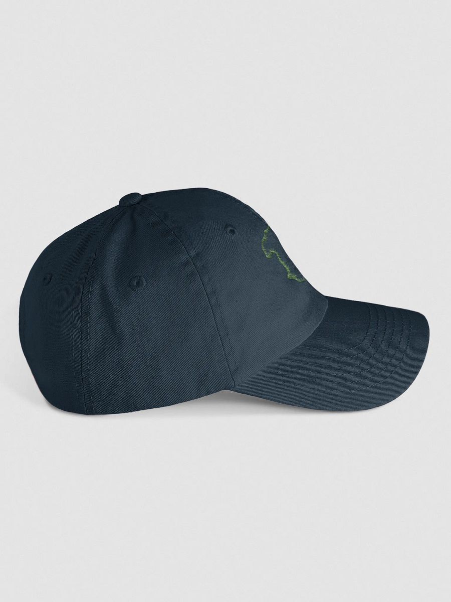 Dragon's Roar Youth Dad Hat product image (4)