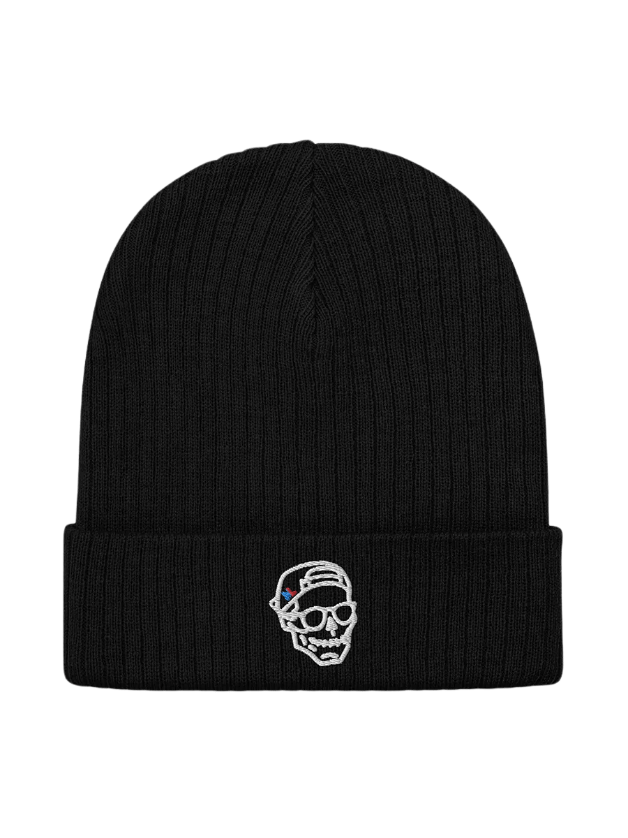embroidered Skull - Ribbed Knit Beanie product image (1)