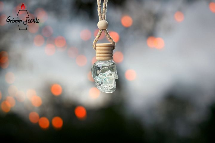 Luxury Skull car freshener product image (1)