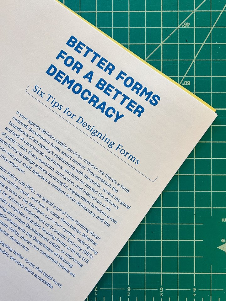 PPL Zine: Better Forms for a Better Democracy product image (2)