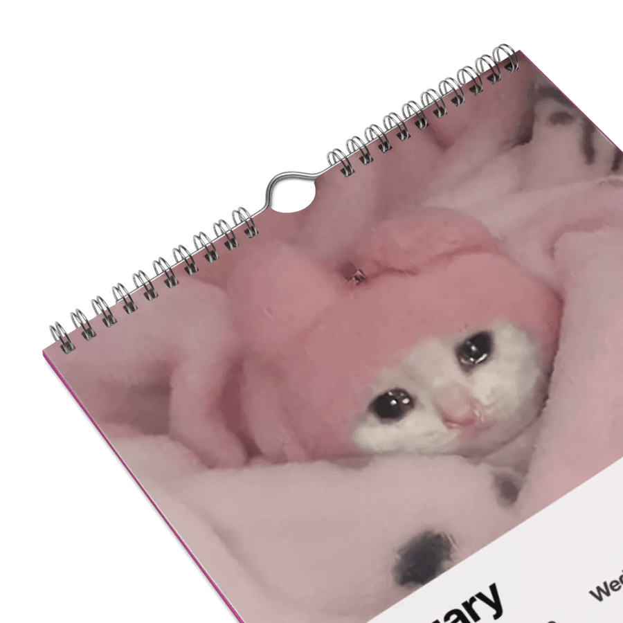 Wall Calendar (2024): Meme Cats product image (9)