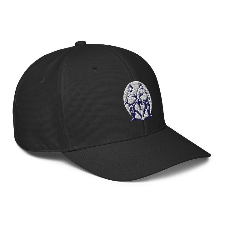 Sumo Showdown Snapback Cap product image (1)