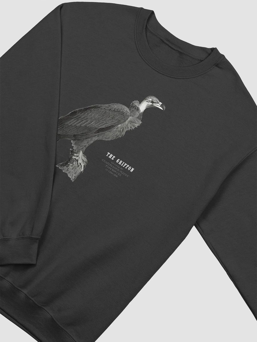 Air-Spun Classic Crewneck Sweatshirt product image (13)