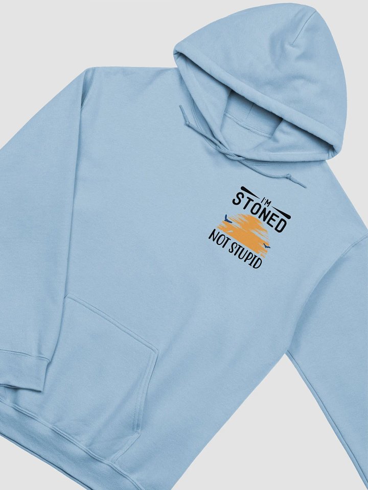 Sunset Im Stoned, Not Stupid Hoodie front and back product image (1)
