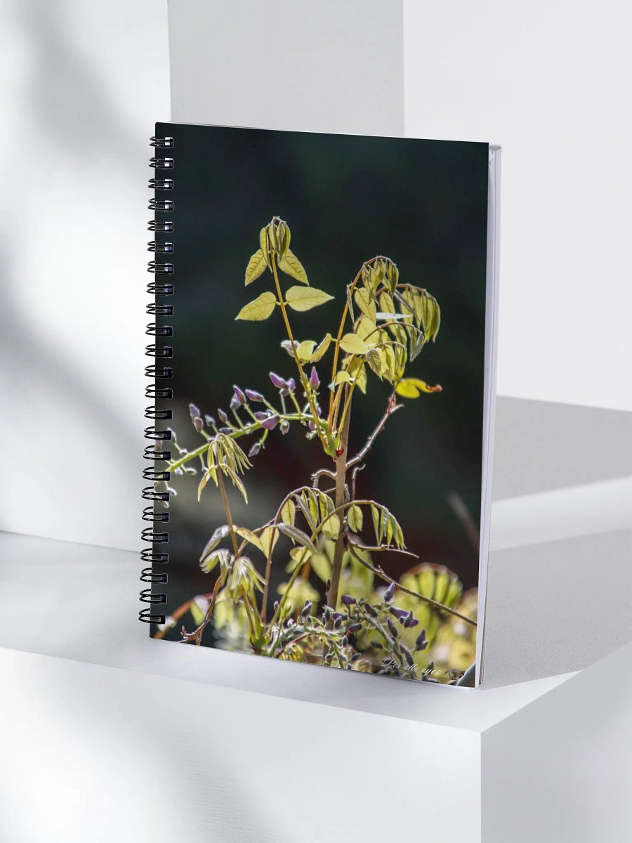 📓 Notebook Collection PURE – Jardin du Rayol – Glycine naissante product image (4)