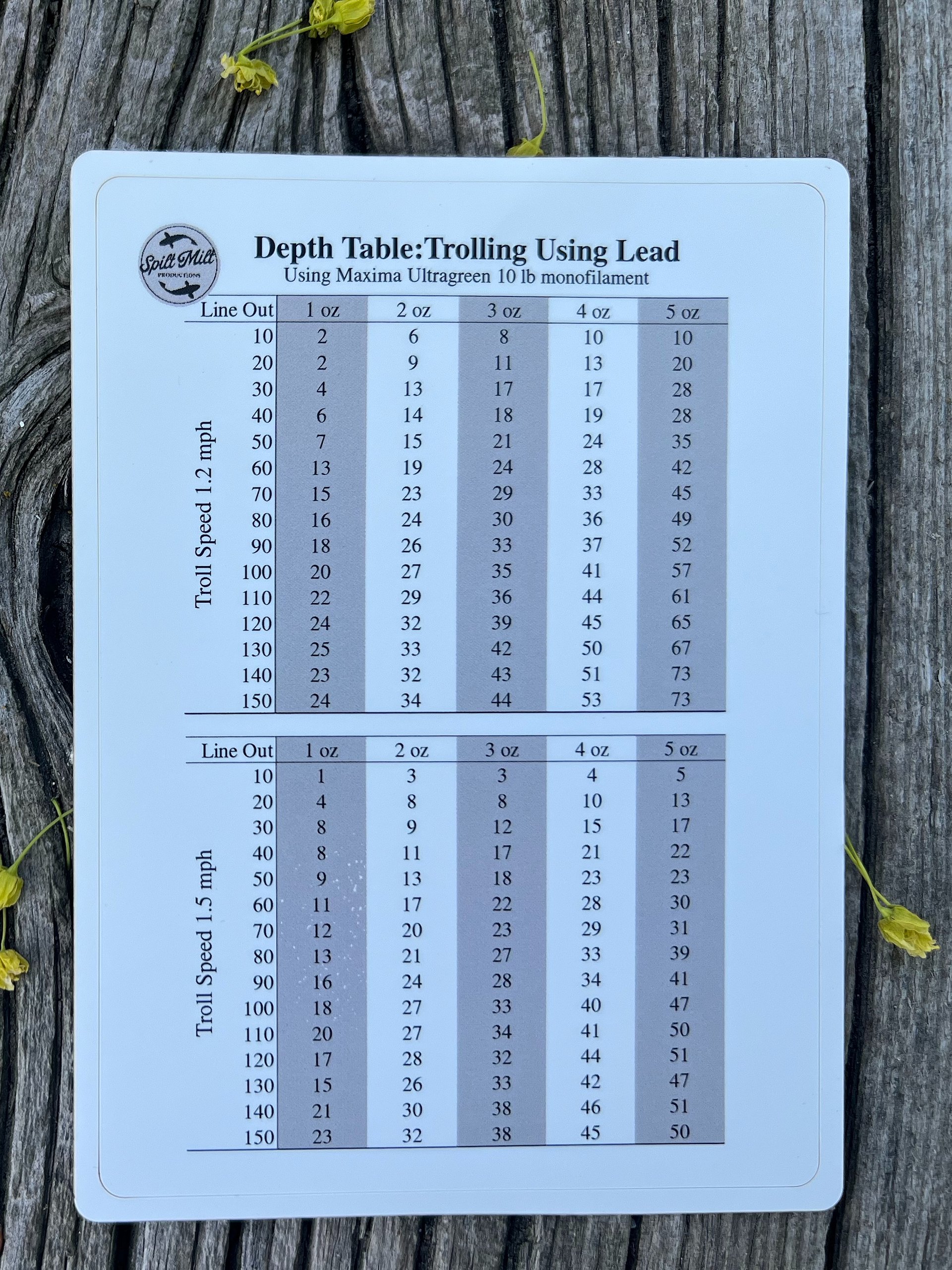Depth Table Trolling Using Lead 1 to 5 oz (3x5) product image (1)