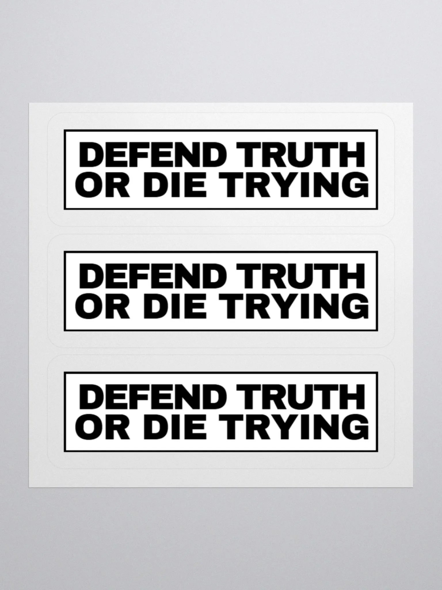 "Defend Truth Or Die Trying" Sticker Sheet product image (1)