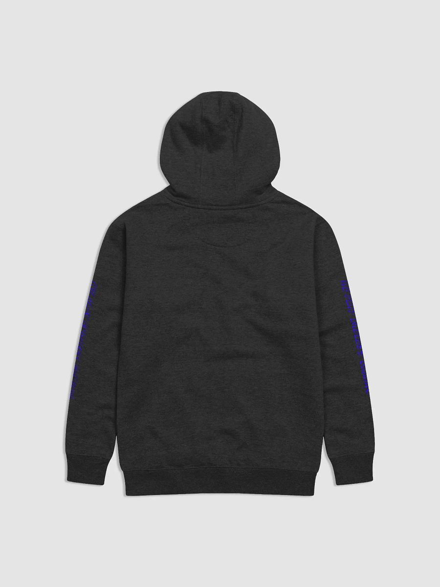 WE PLAY ENDLESS GAMING HOODIE product image (2)