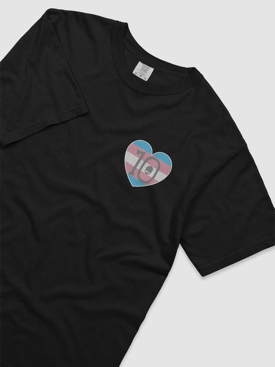 Trans Pride - Rule 10 T-Shirt product image (24)