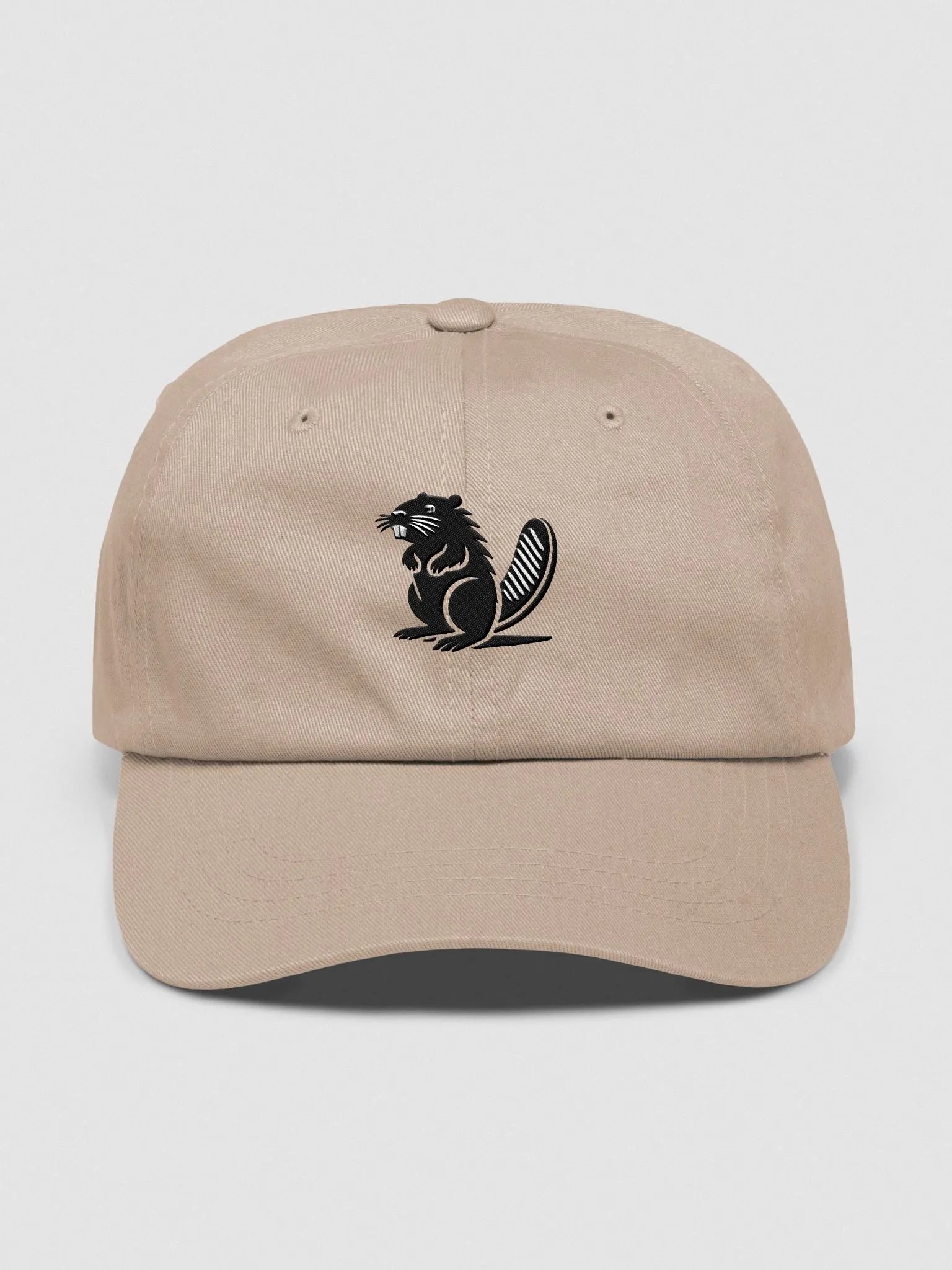 BVR | GEO Classic Cap product image (1)