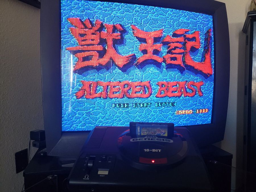 1000+ in 1 Game 16 Bit Sega Genesis and Master System Multi Cart Game Cartridge NTSC PAL product image (4)