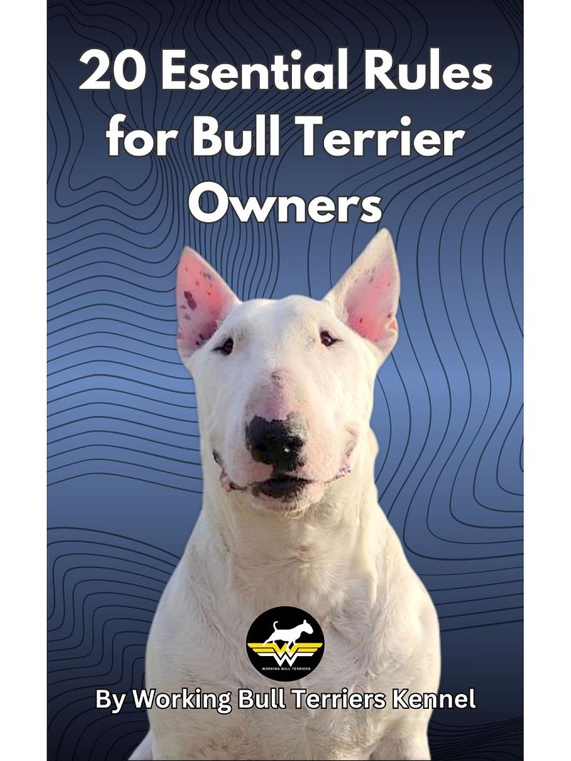 20 Essential Rules for Bull Terrier Owners