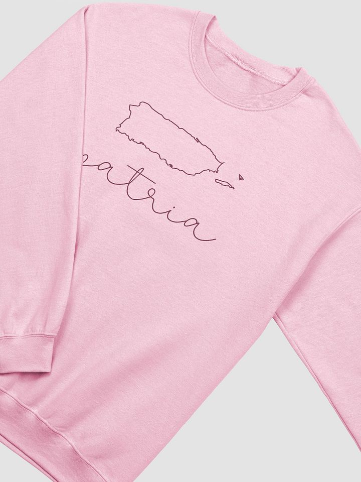 Patria Pink Sweatshirt product image (2)