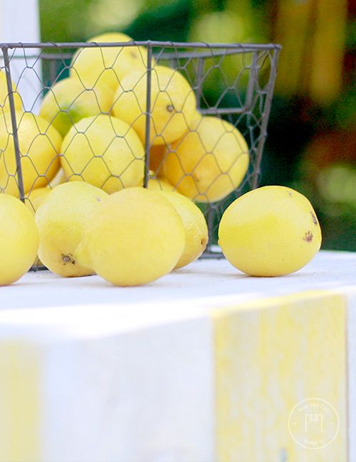 Lemonade Stand - Woodworking Plans and 3D SketchUp Model product image (4)