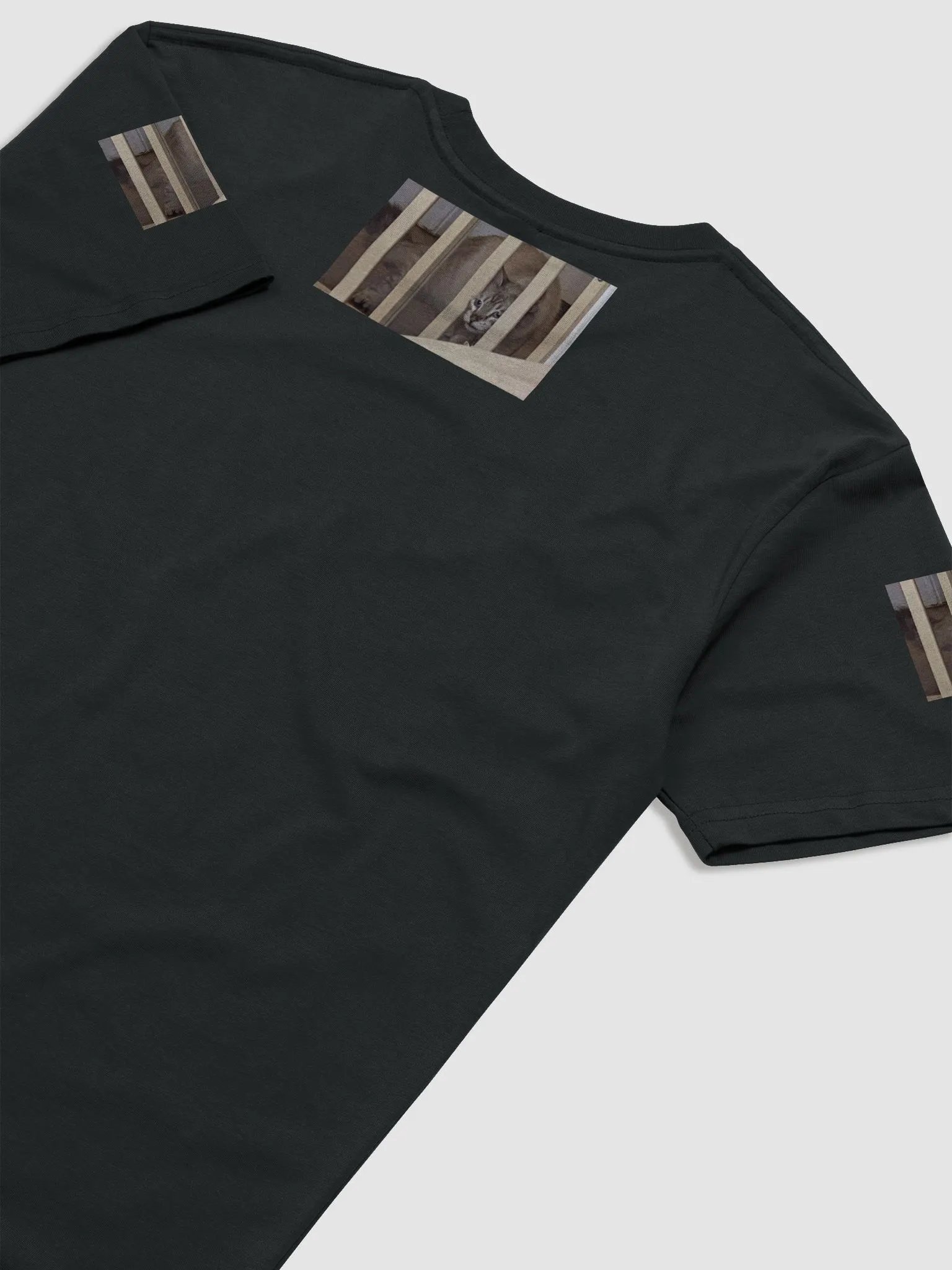 jail product image (3)