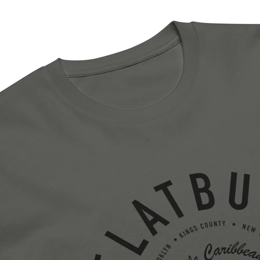 Flatbush Little Caribbean Gray Tee Sadie product image (6)