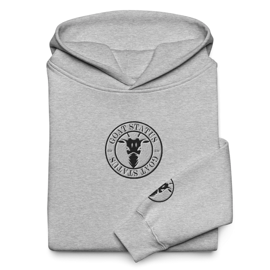 Unisex Premium Oversized Hoodie product image (11)