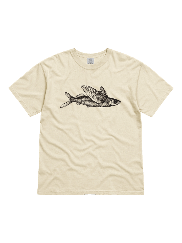 Flying fish - Print product image (31)