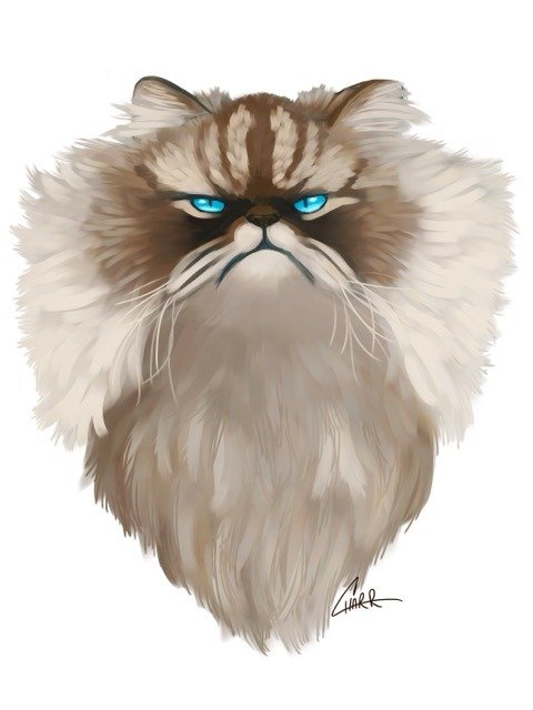 Spotlight Portrait product image (2)