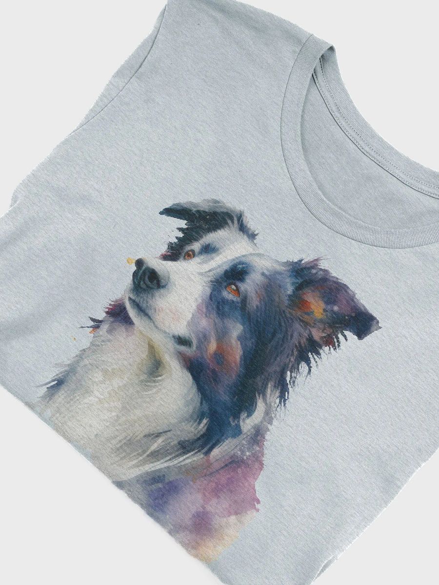 Border Collie product image (3)