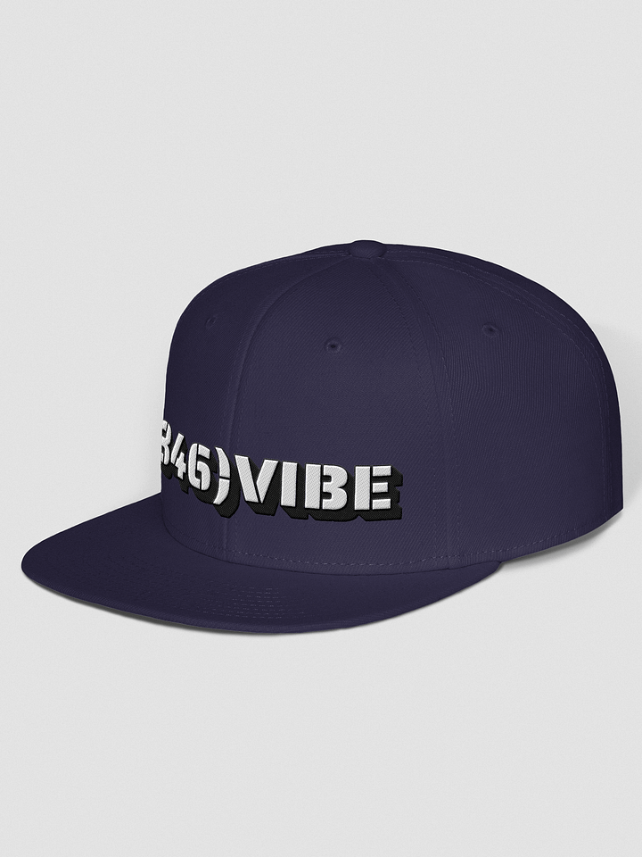 Bold 346 VIBE Snapback Cap product image (22)