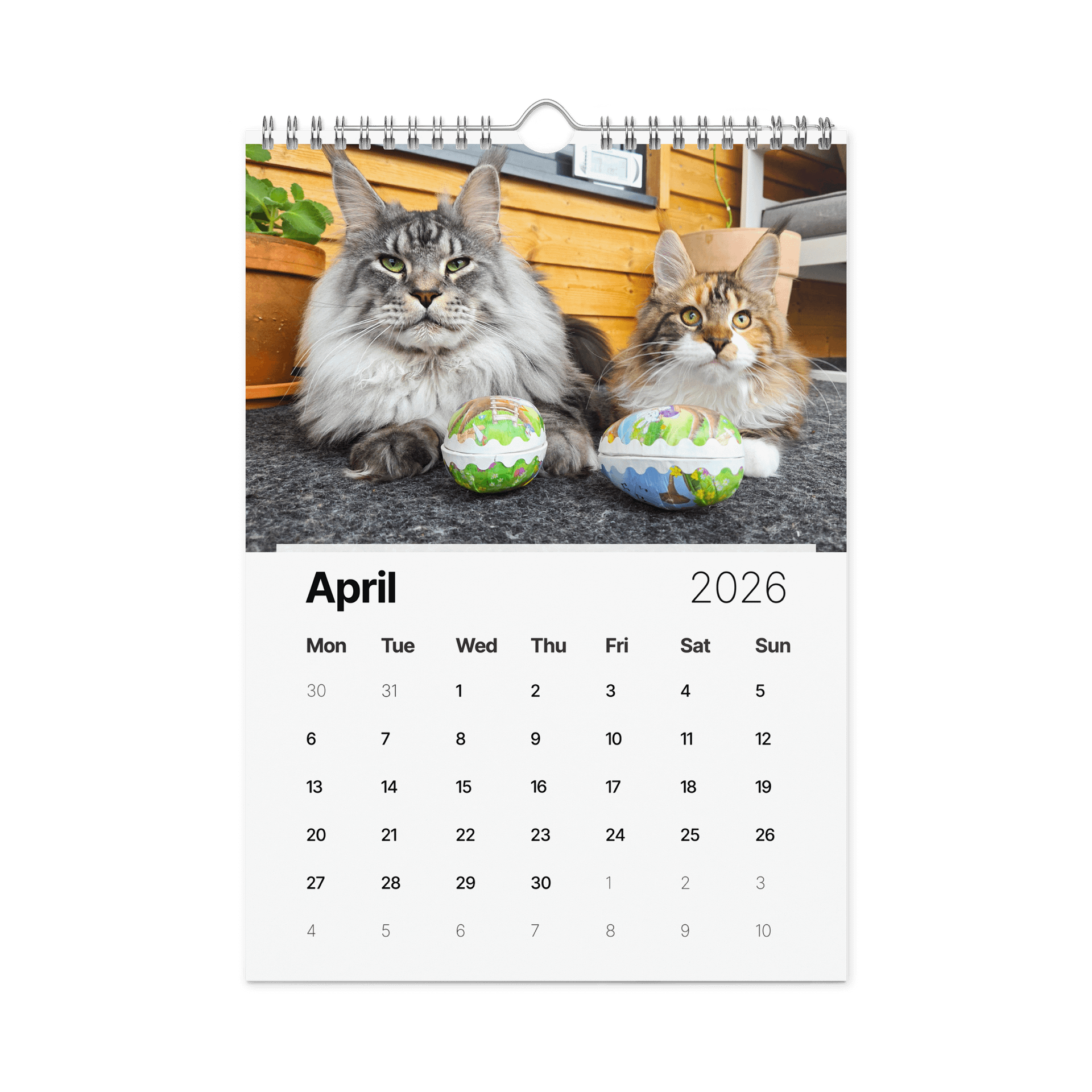 2026 Calendar - Maine Coon Adventures + Kittens product image (4)