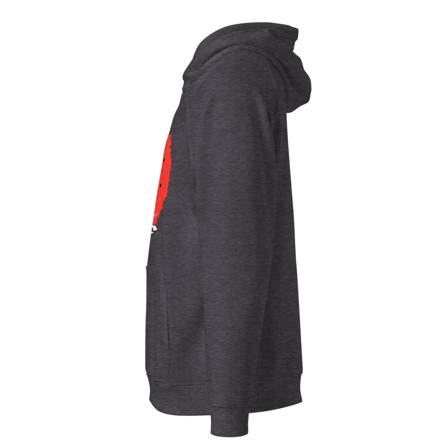 SOL'S Unisex Eco Raglan Hoodie product image (2)