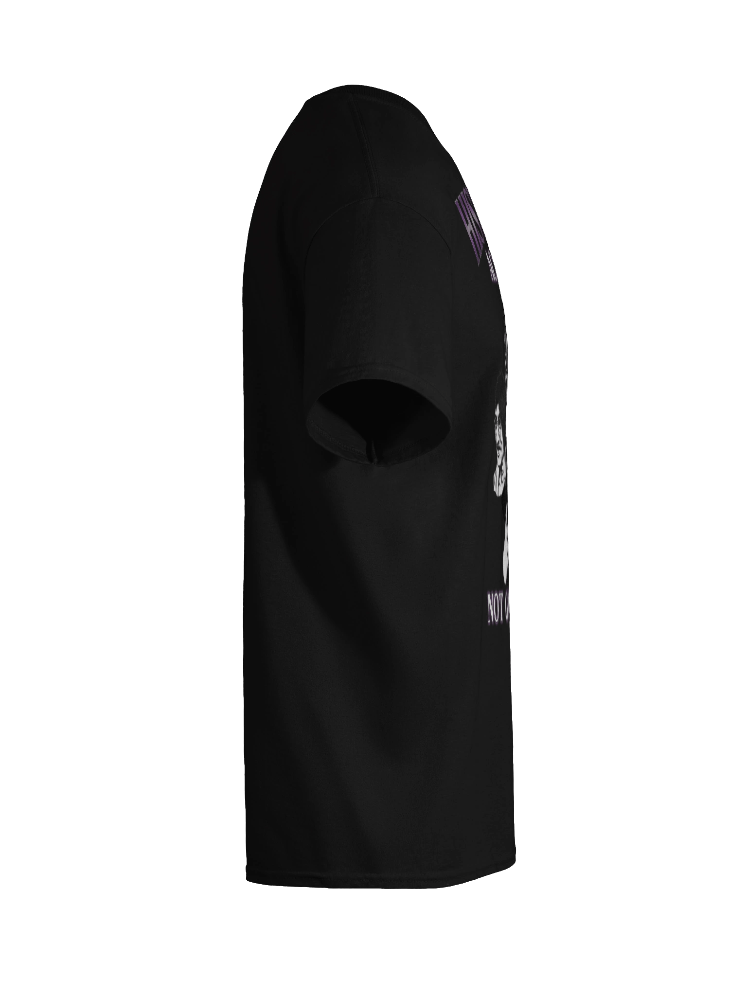 "Historical Accuracy" Tee product image (12)