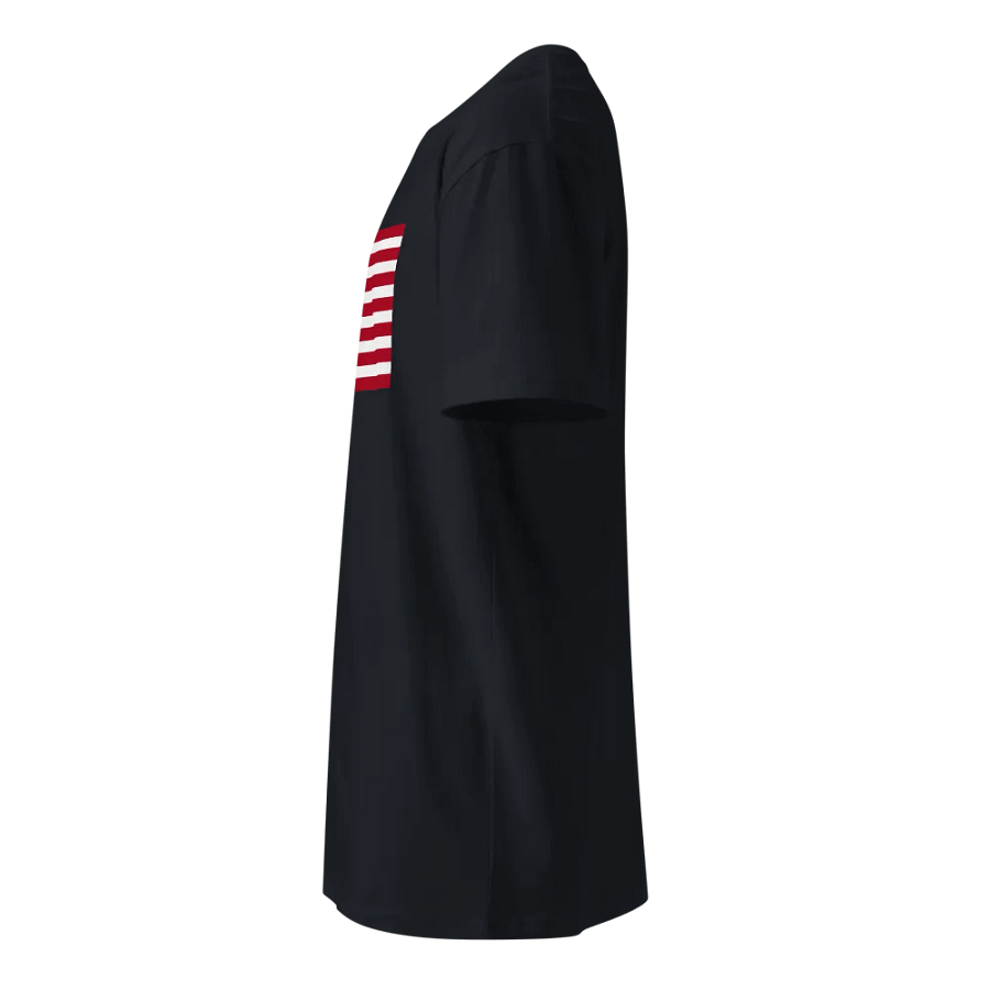 AS Colour Unisex Premium T-Shirt , Patriotic Stars & Stripes Premium Tee product image (5)