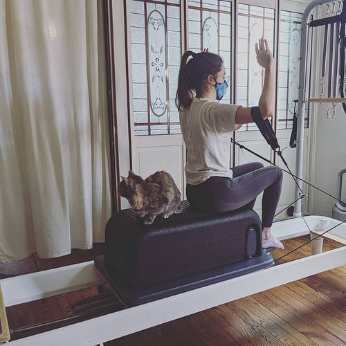 String 😺 loves to stay with Cameron on the Pilates Reformer 🥰

#pilates #pilateswithcats #petlates #catlates #pilateswithpets...