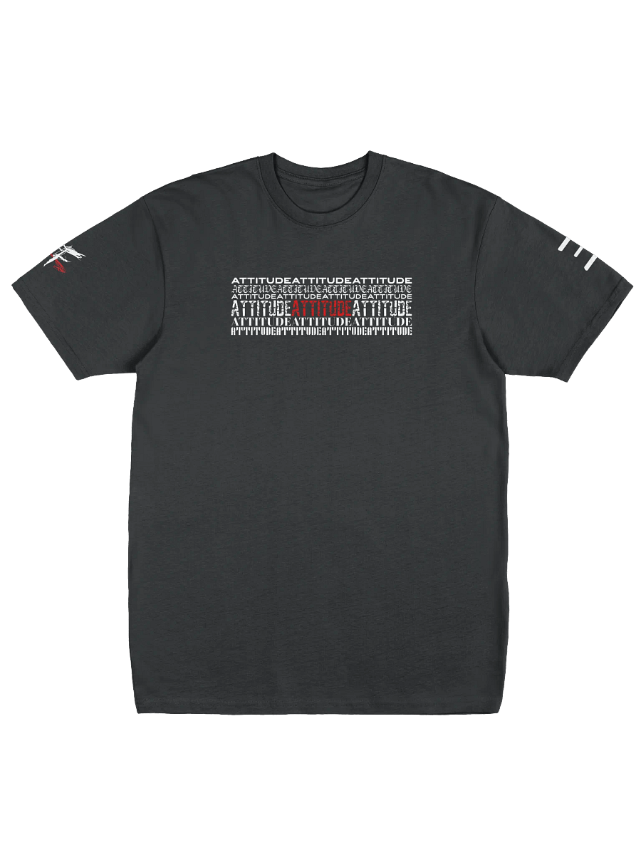 Attitude: Austin Heavyweight Tee product image (2)
