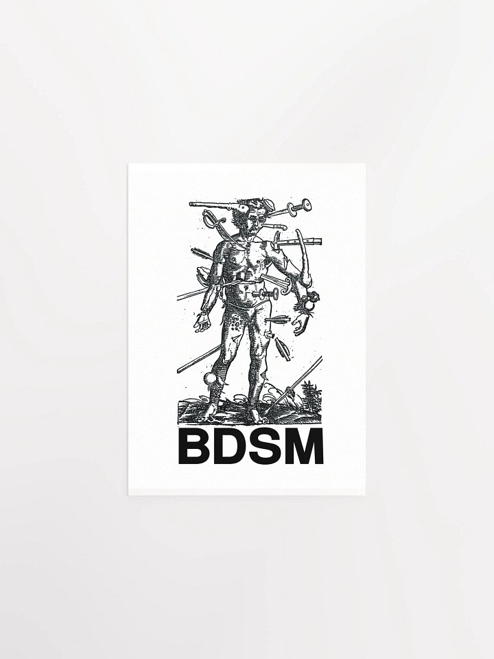 BDSM - Poster product image (4)
