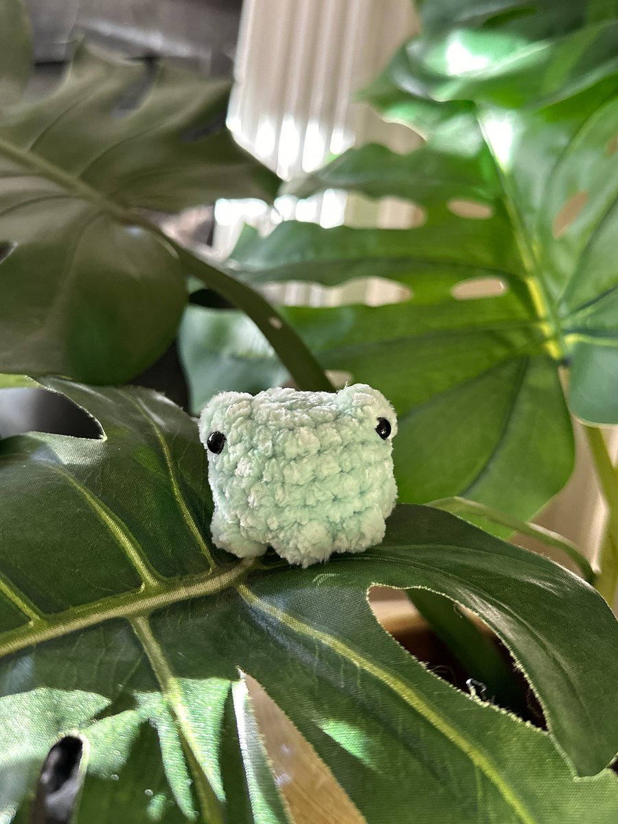 Removable Potted Sunflower & Smol Frog product image (6)