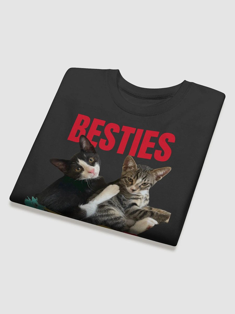 Besties Embrace Premium Sweatshirt product image (4)