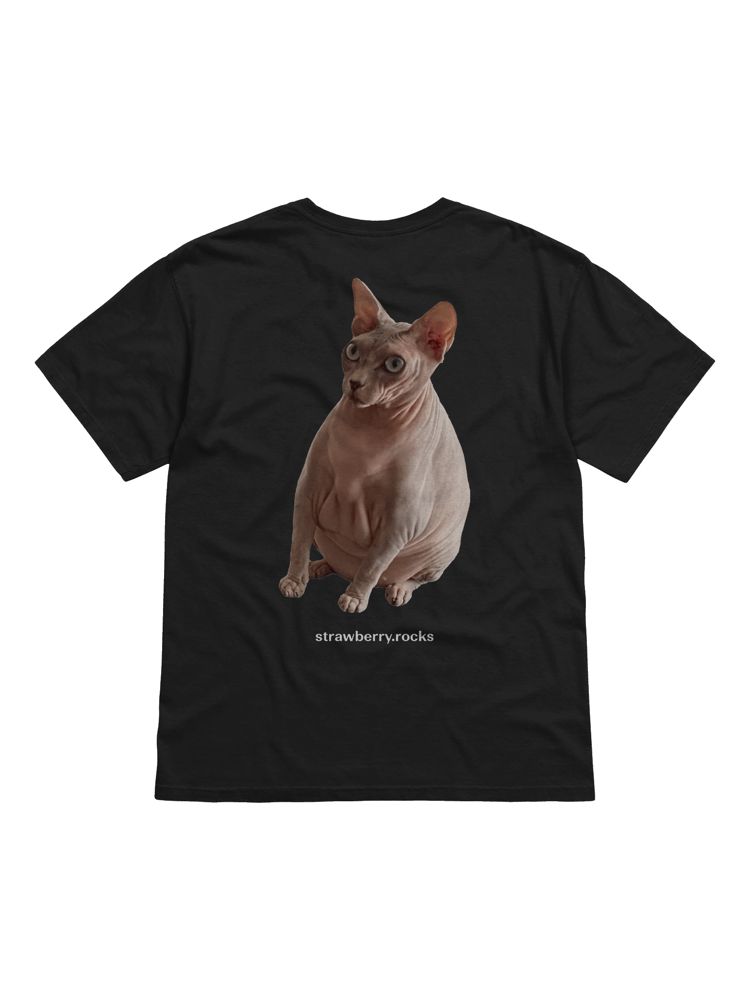 Thiago's cat judging your code product image (2)