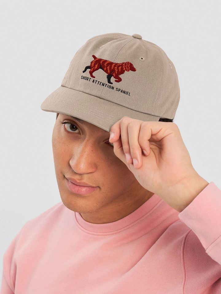 Short Attention Spaniel Classic Dad Hat(Embroidered) of a Boykin Spaniel product image (26)