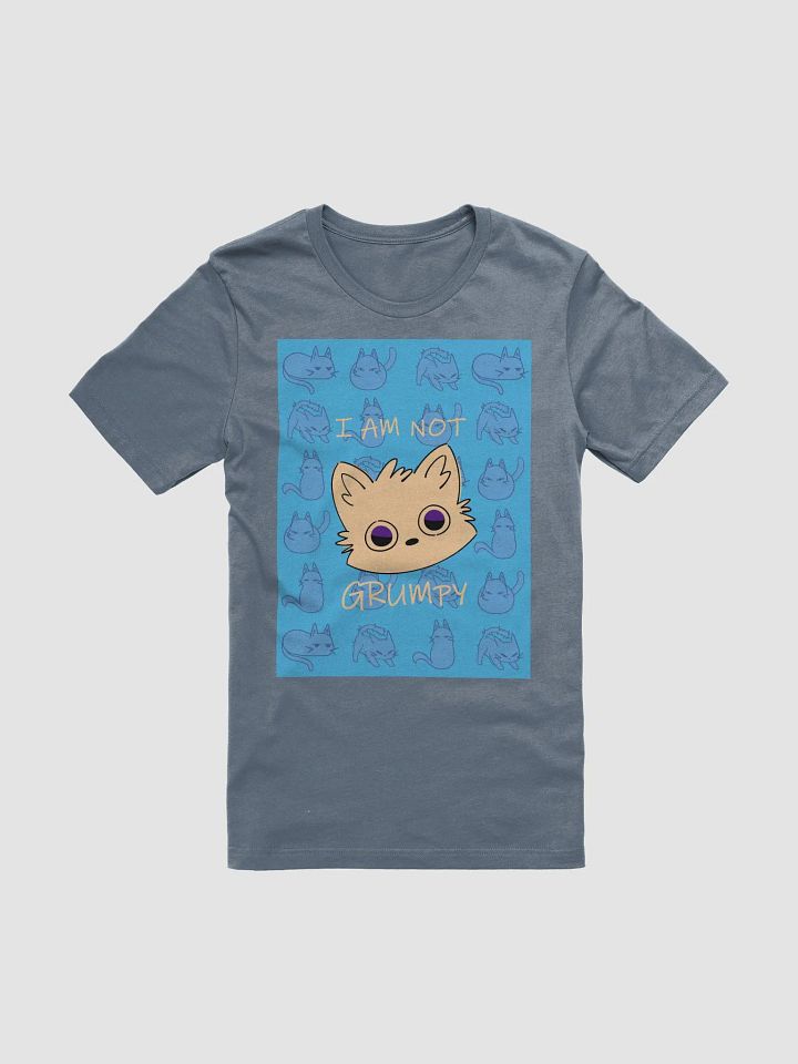 The (NOT) GRUMPY Bella Canvas T-Shirt product image (1)