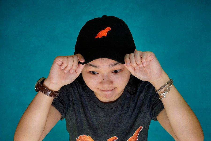 Dino Dad Hat product image (3)