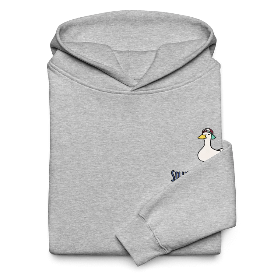 Silly Goose Hoodie product image (10)