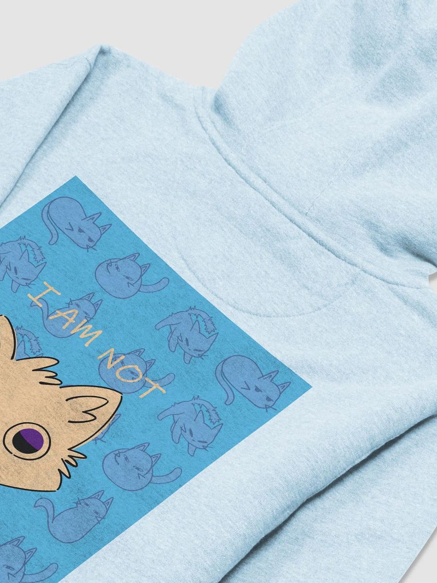 The (NOT) Grumpy Hoodie product image (4)