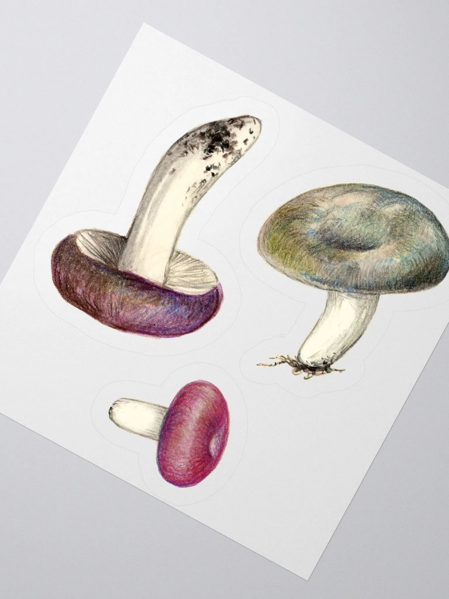 Russula mushrooms stickers product image (3)