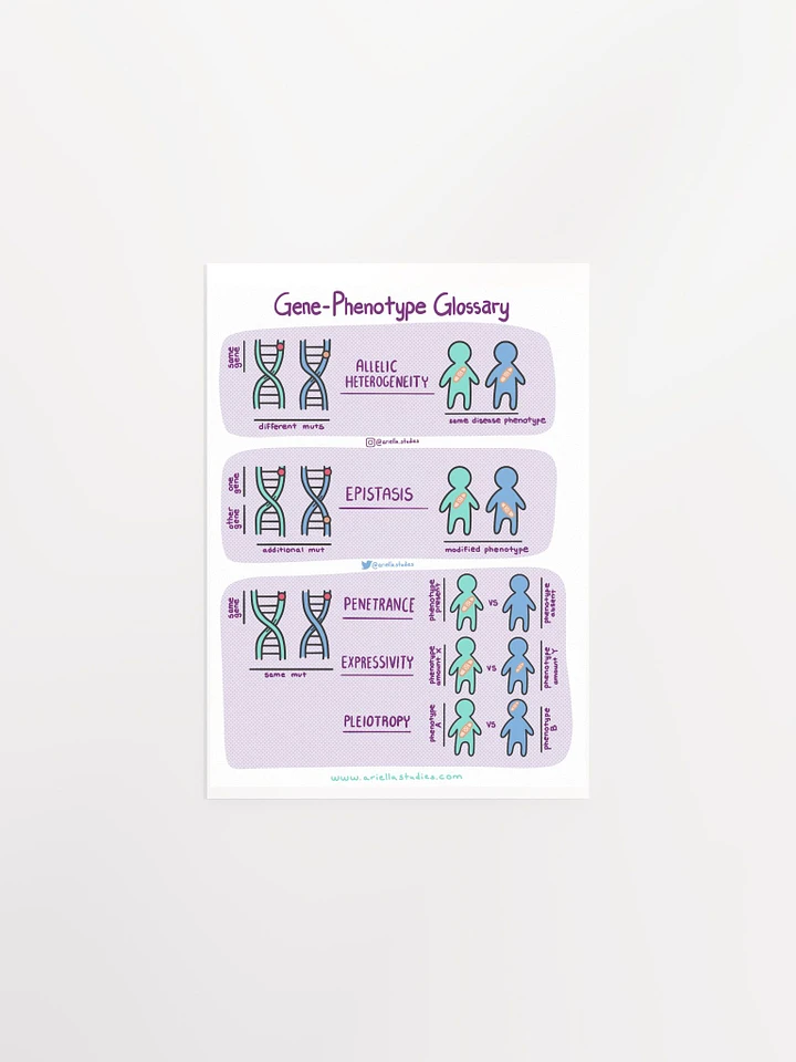Gene-Phenotype Poster product image (1)