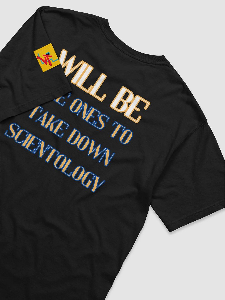The Never-Ins WILL Take It Down TShirt product image (15)