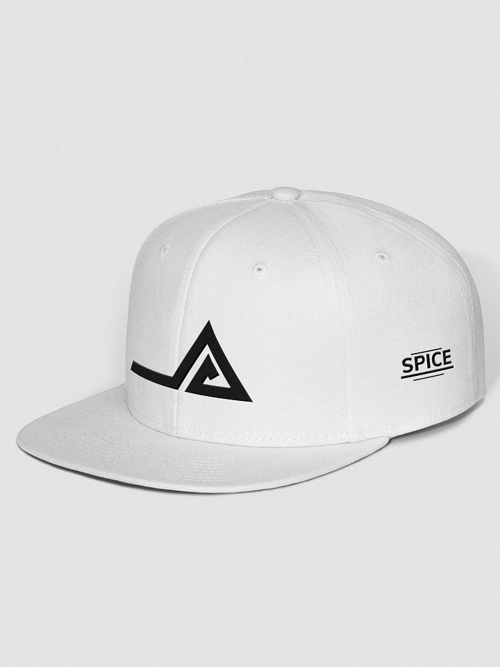 SNAPBACK product image (2)
