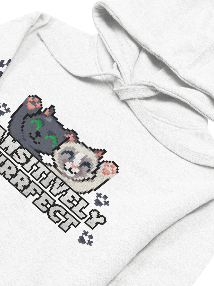 Pawsitively Purrfect Hoodie product image (31)